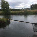 Entenrennen_2022