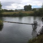 Entenrennen_2022