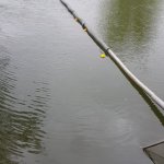 Entenrennen_2022