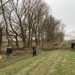 Arbeitseinsatz