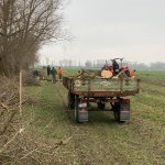 Arbeitseinsatz